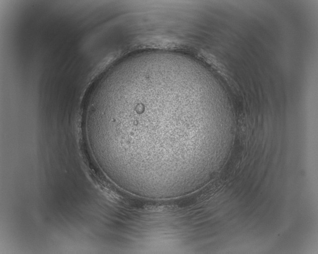 X0000073950679200609051753