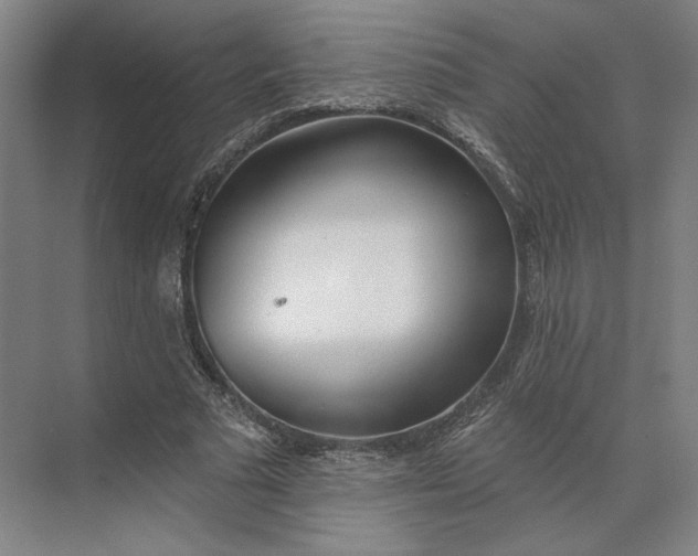 X0000073950681200609051753