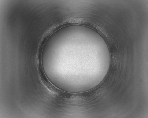 X0000073950682200609051753