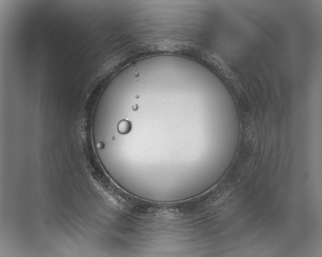 X0000073950683200609051753