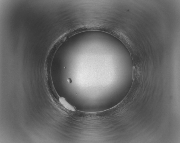 X0000073950684200609051753