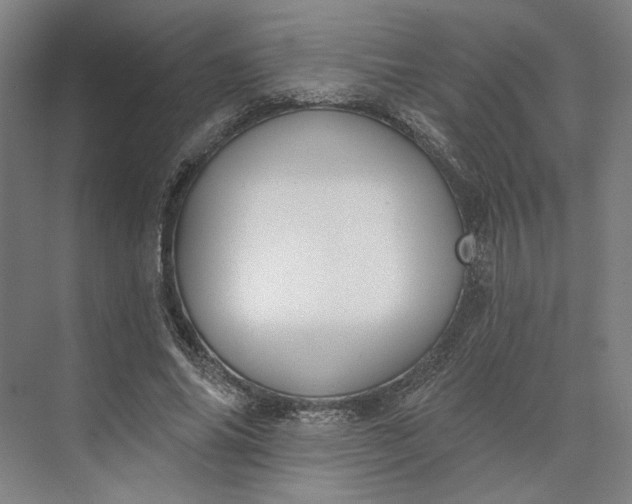 X0000073950686200609051753