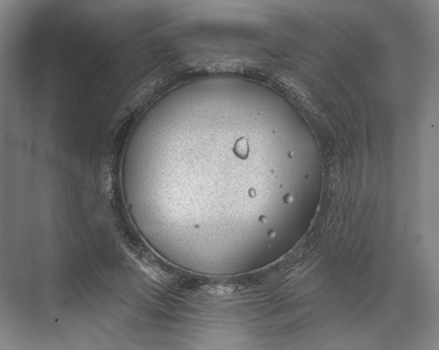 X0000073950687200609051753