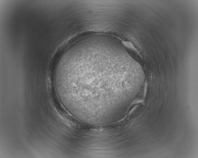 X0000073950688200609051753