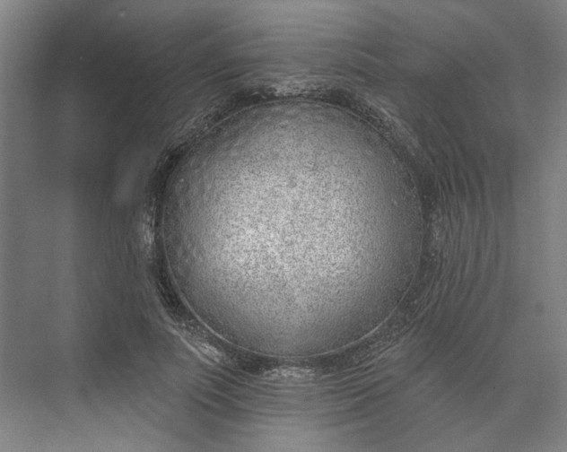 X0000073950691200609051753