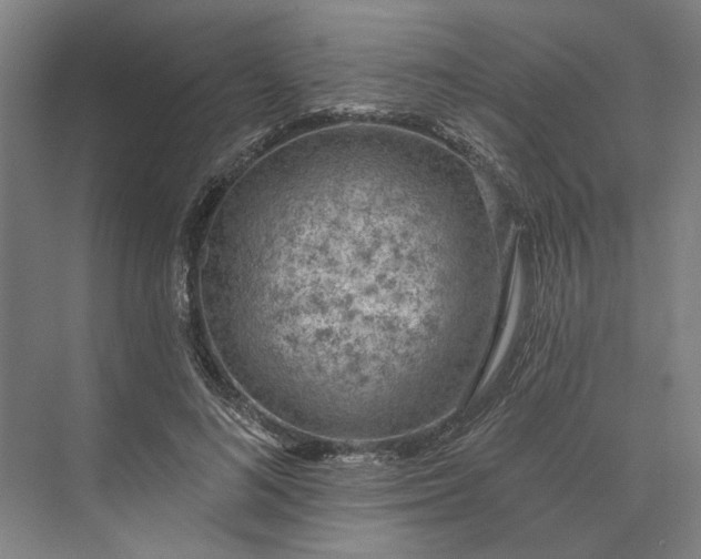 X0000073950692200609051753