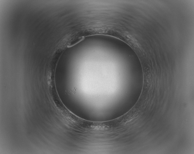 X0000073950693200609051753