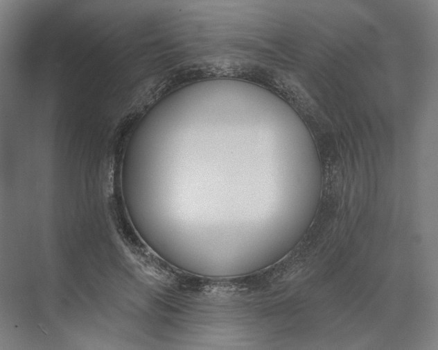 X0000073950694200609051753