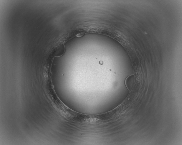 X0000073950695200609051753