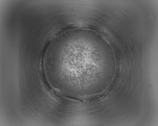 X0000073950696200609051753