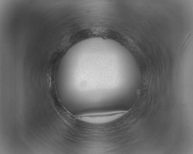 X0000073950703200609051753