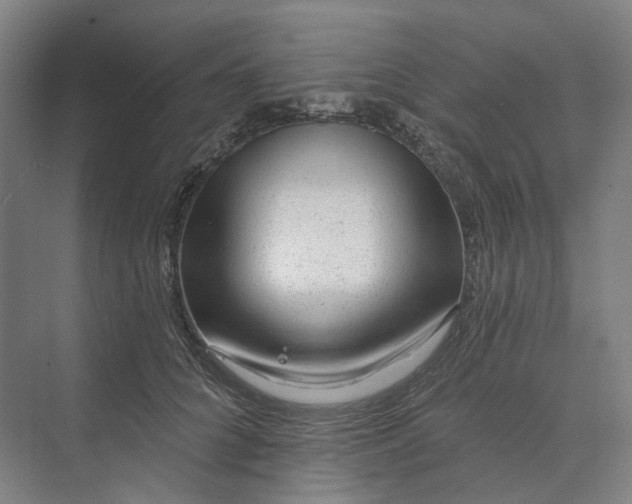 X0000073950704200609051753