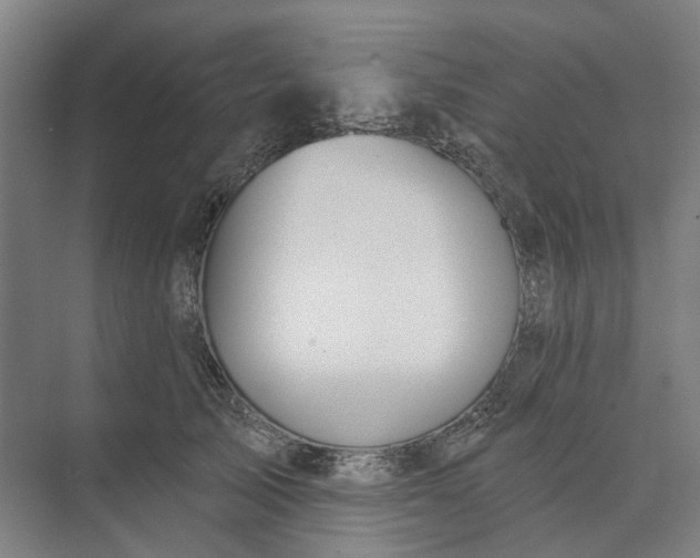 X0000073950705200609051753