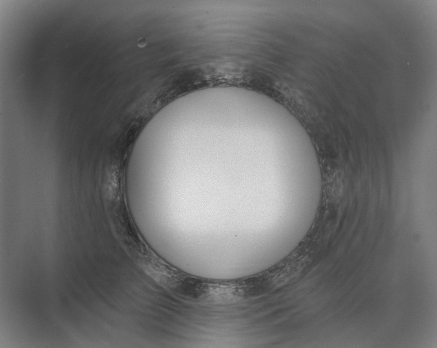 X0000073950709200609051753