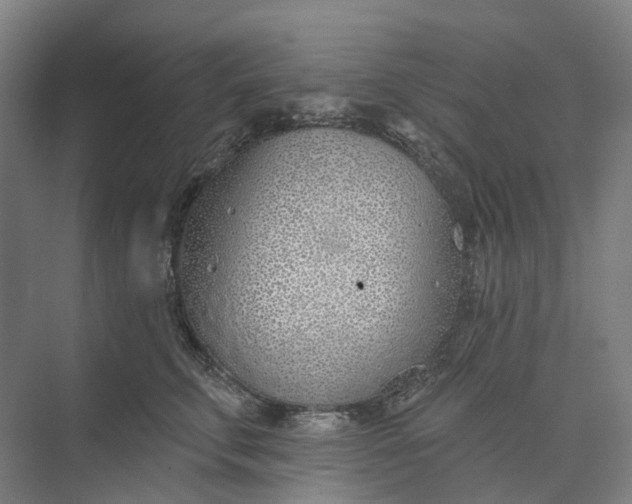 X0000073950711200609051753