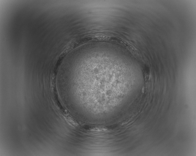 X0000073950712200609051753