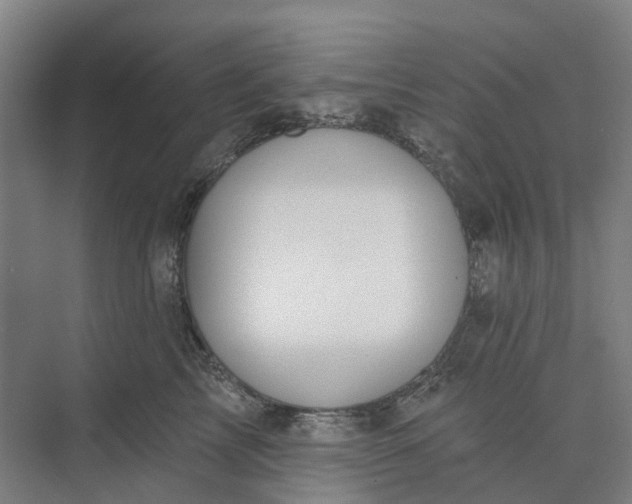 X0000073950713200609051753