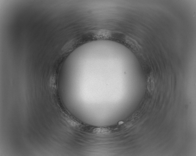 X0000073950714200609051753