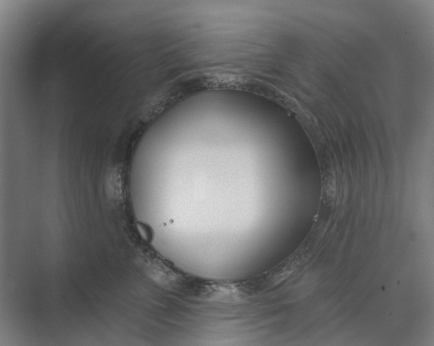 X0000073950715200609051753