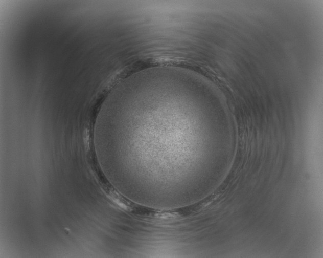 X0000073950716200609051753