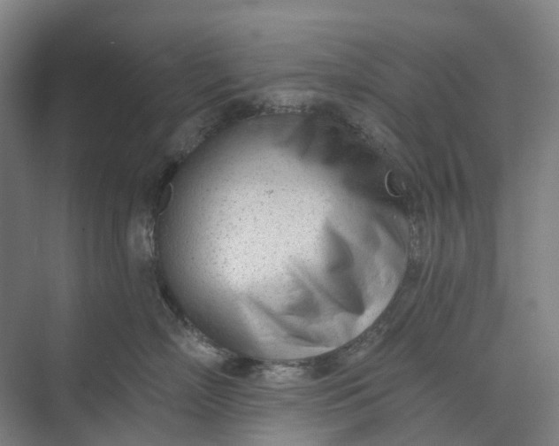 X0000073950718200609051753