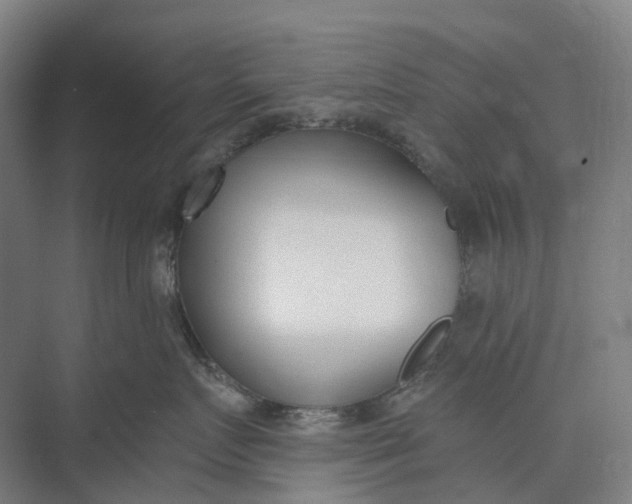 X0000073950719200609051753