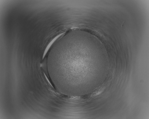 X0000073950720200609051753