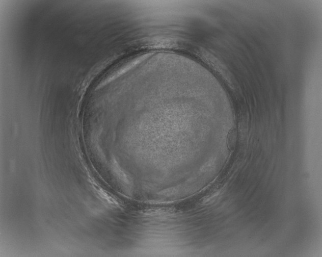 X0000073950721200609051752