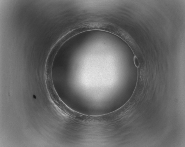 X0000073950722200609051752