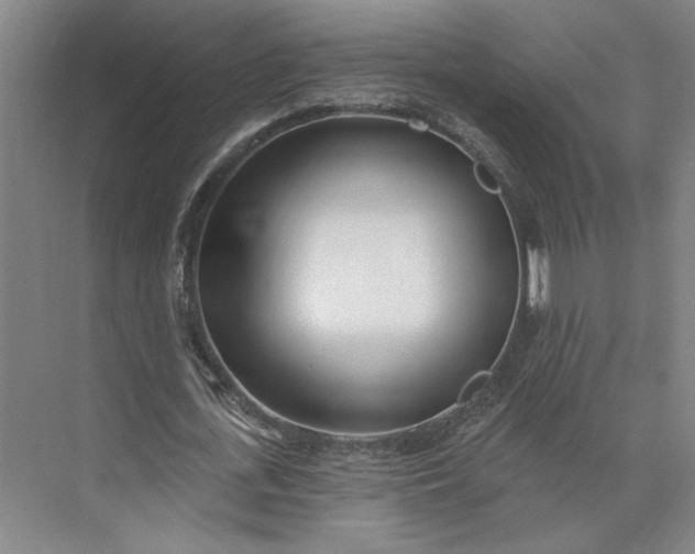 X0000073950723200609051752