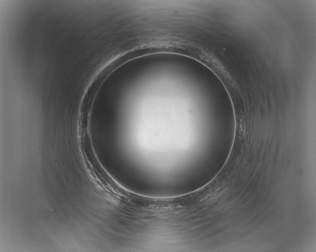 X0000073950724200609051752