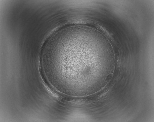 X0000073950725200609051752