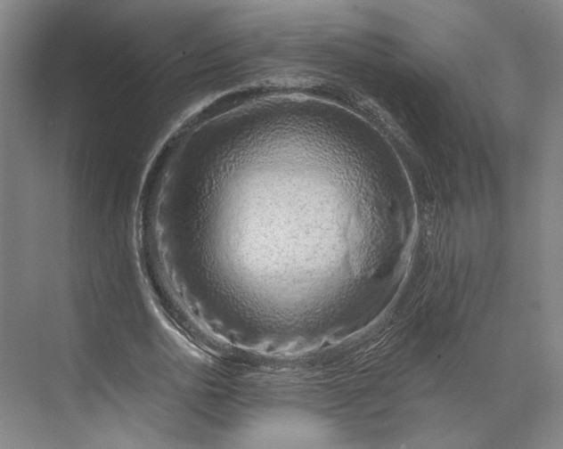 X0000073950726200609051752