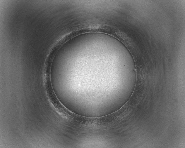 X0000073950728200609051752