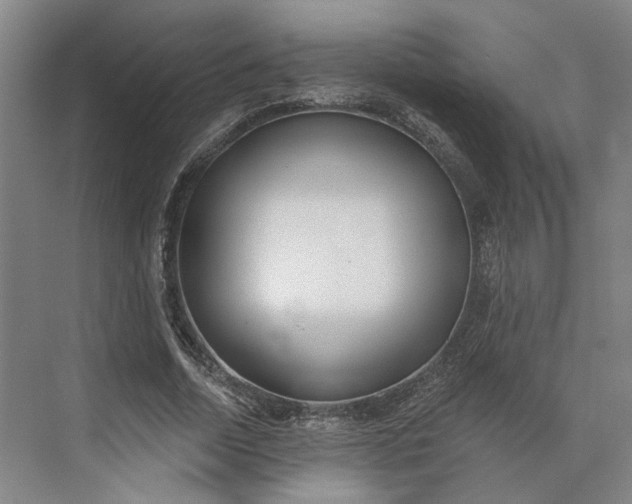 X0000073950730200609051752