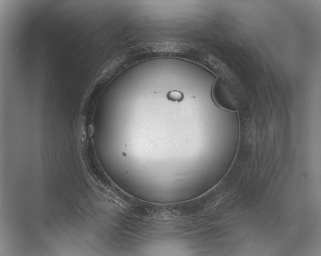 X0000073950731200609051752