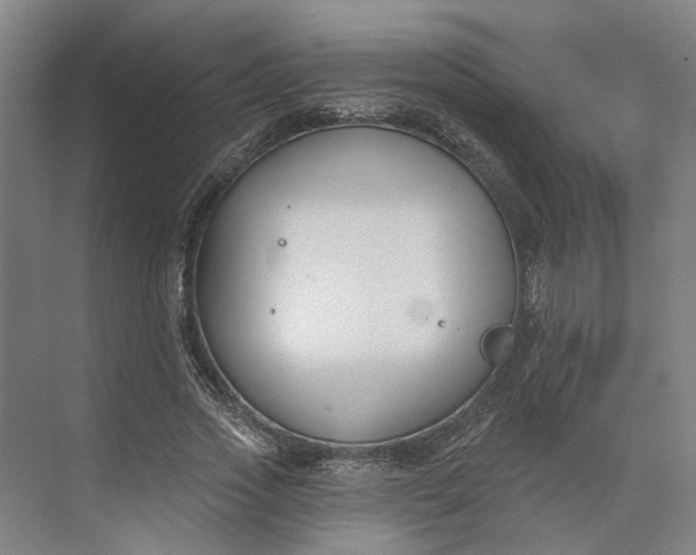 X0000073950733200609051752