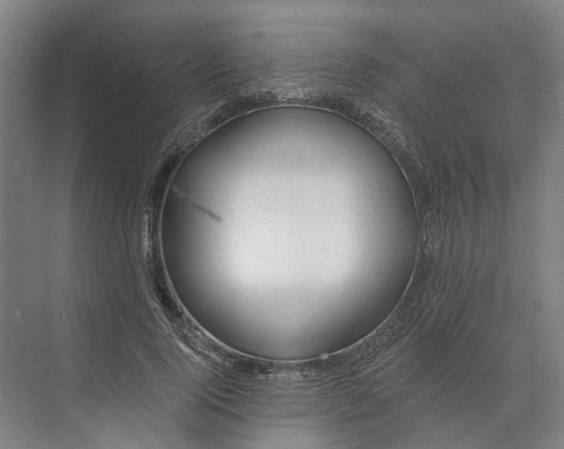 X0000073950740200609051752