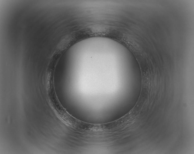 X0000073950742200609051752