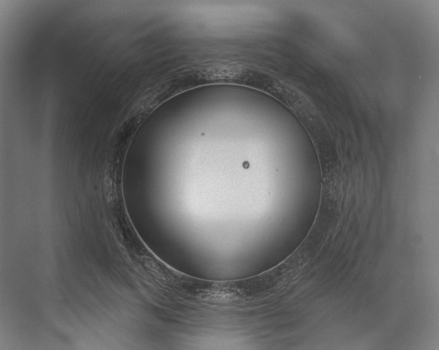 X0000073950743200609051752