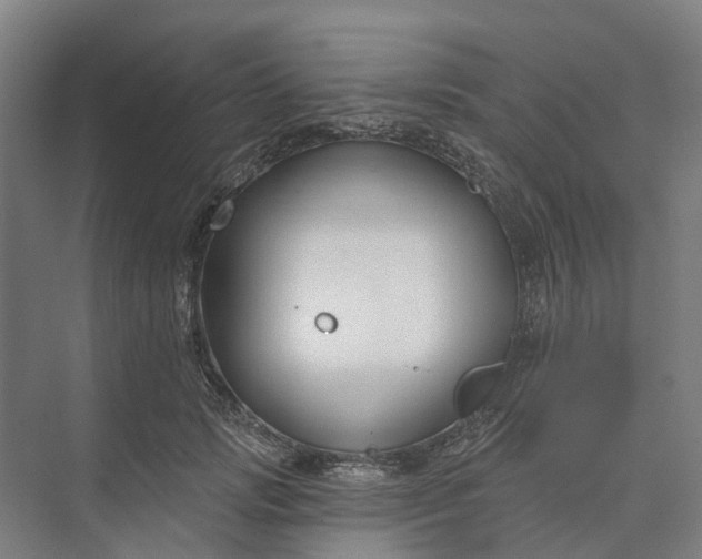 X0000073950749200609051752