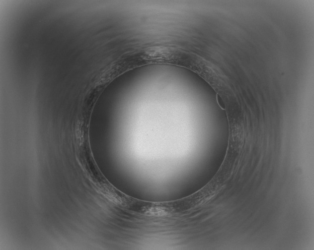 X0000073950751200609051752