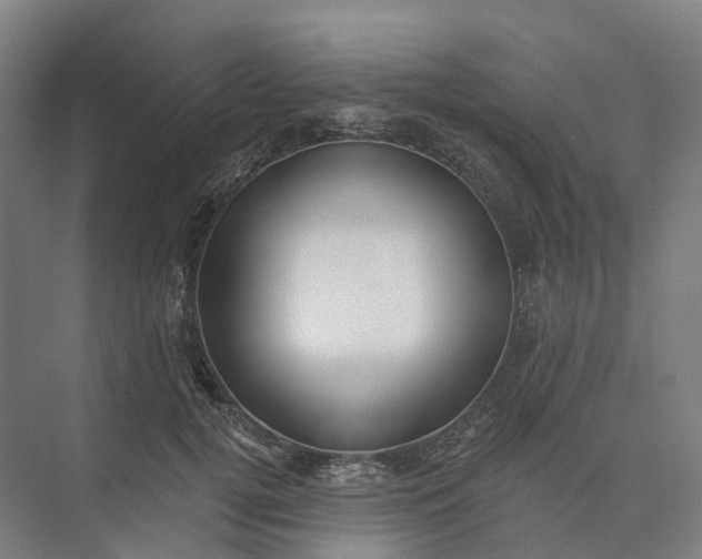 X0000073950752200609051752