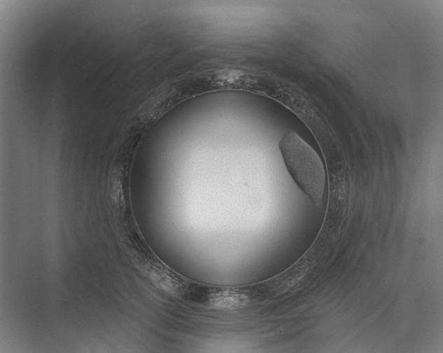 X0000073950754200609051752