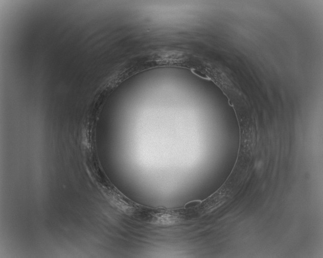 X0000073950755200609051752