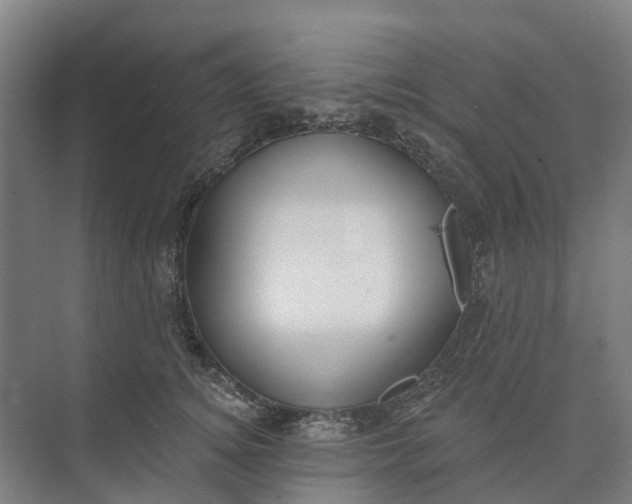 X0000073950756200609051752