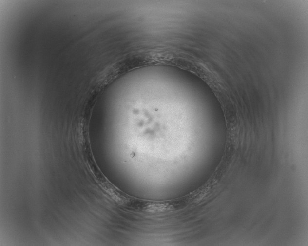 X0000073950757200609051752