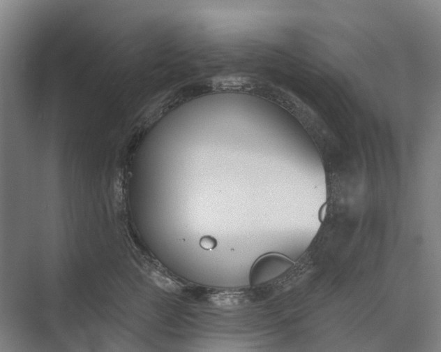 X0000073950761200609051752