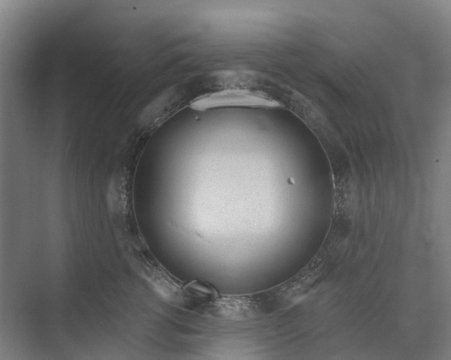 X0000073950762200609051752