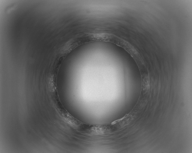 X0000073950764200609051752